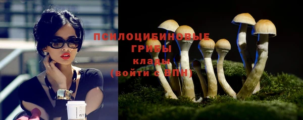 дурь Алексеевка