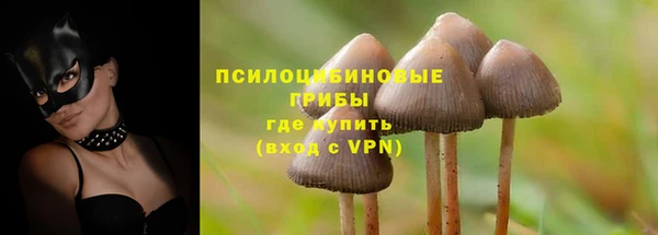 дурь Алексеевка