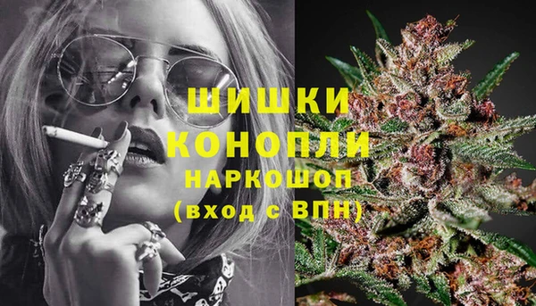 гидропоника Алзамай