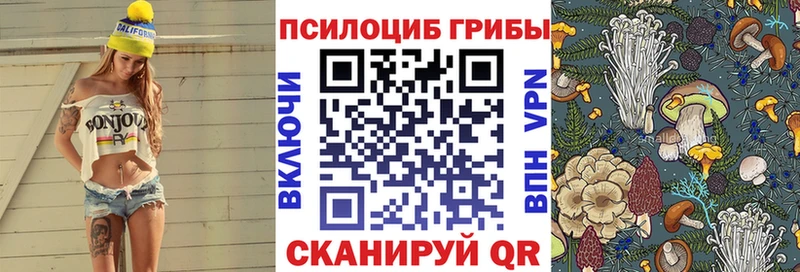 Галлюциногенные грибы Cubensis  Печоры 